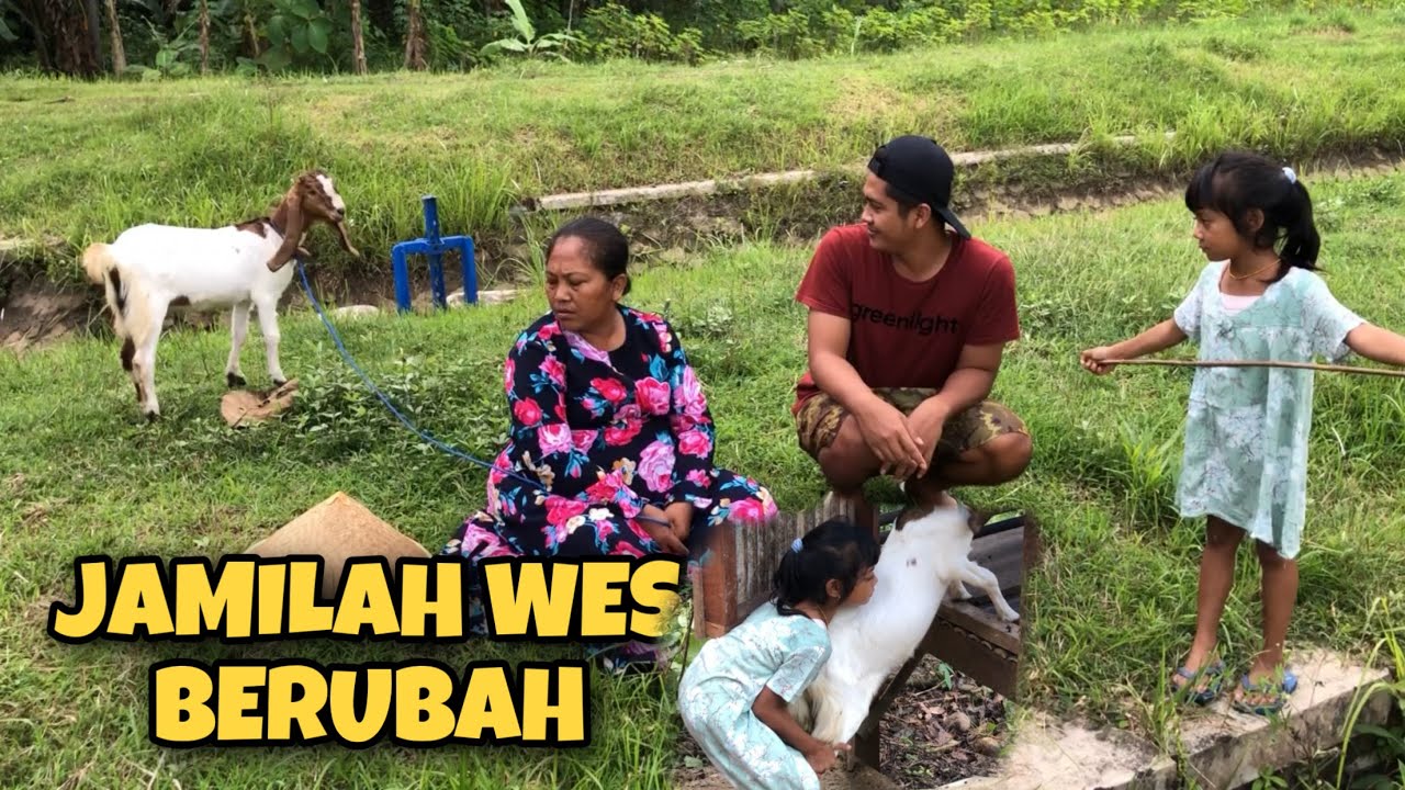 MALAH BANUNG SENG DI ANGON JAMILAH PIE IKI