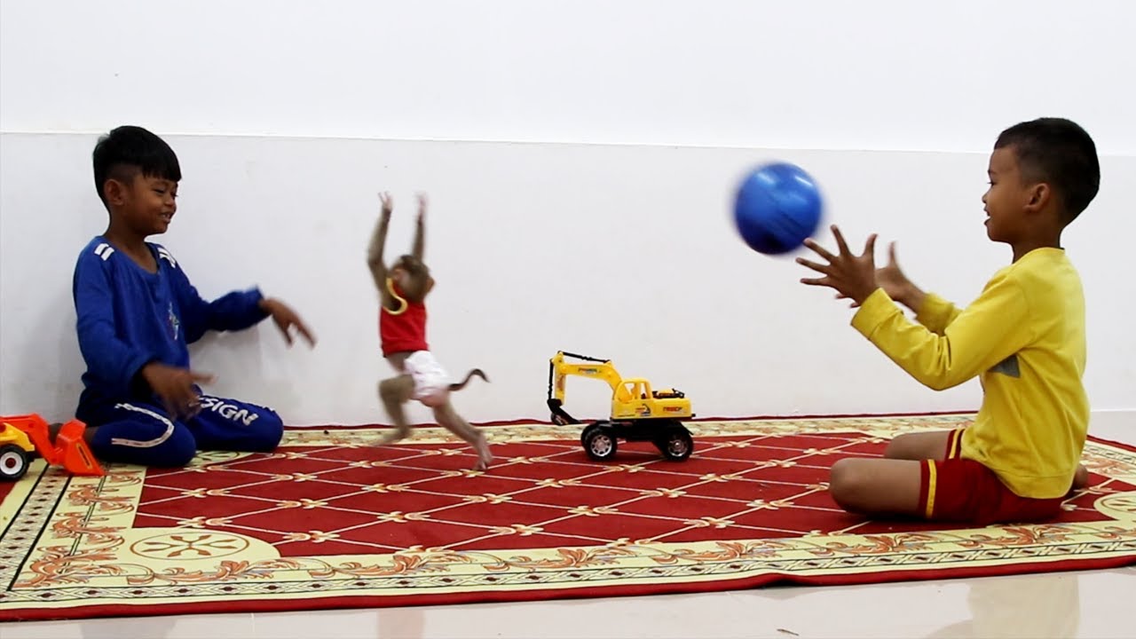 Well Playing Ball Baby Monkey| Interesting Activity For Hailey With Brother