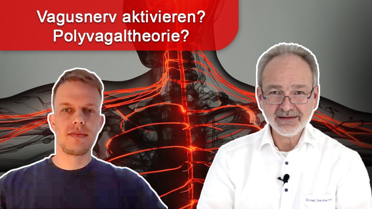 Chronischer Stress und der Vagusnerv: Gezielt aktivieren? Was ist die Polyvagaltheorie?