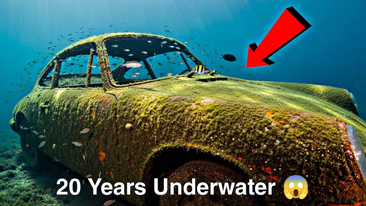 Porsche 911 Evolution 🔥| 20 Years Underwater to $200,000 Supercar Rebirth