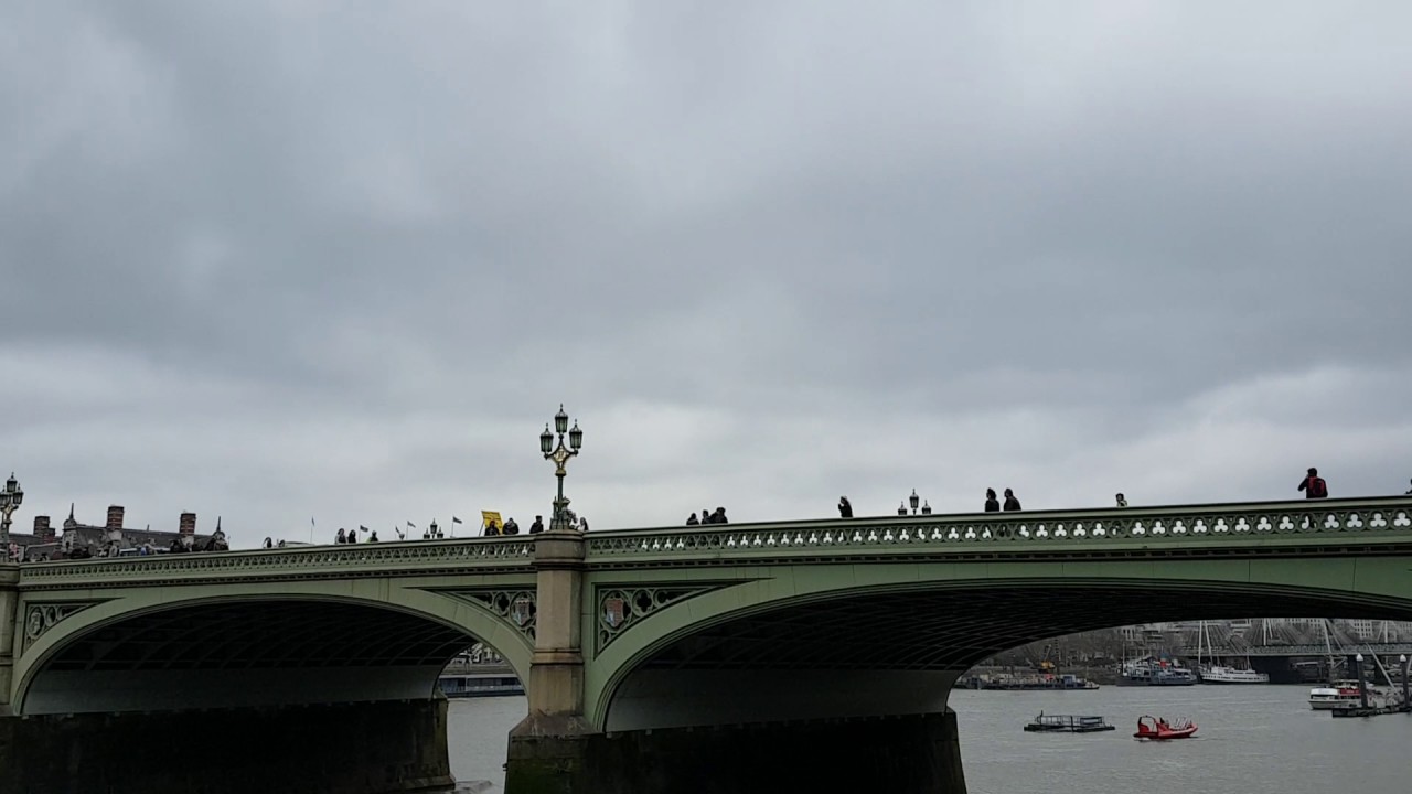 Man jumps off Westminster Bridge - Emergency Services Respond