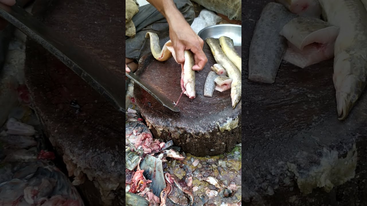 BAM FISH CUTTING | watch full video link in discription