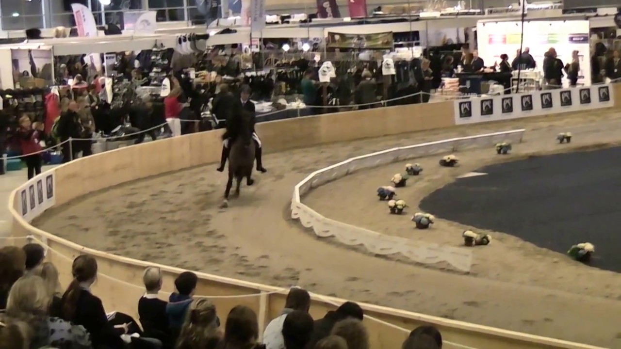 Grímur fra Gavnholt, IF18F1