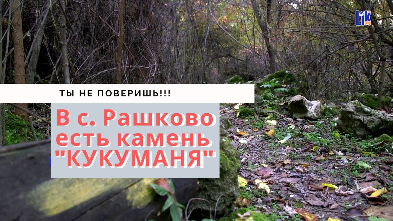 В селе Рашков «прокладывают» тропу успеха