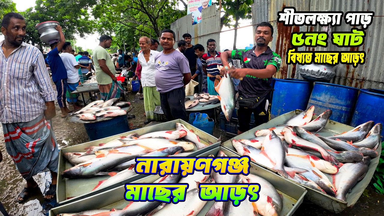 নারায়ণগঞ্জ ঘাটে এমন সস্তা মাছ! বাজারে এমন দামে কোথাও নেই | Narayanganj fish market 2025