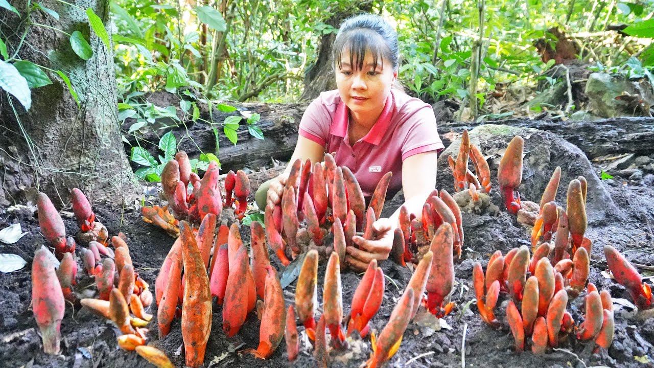 Harvesting Wild Mushroom Goes To Market Sell, Live With Nature || Phương - Free Bushcraft