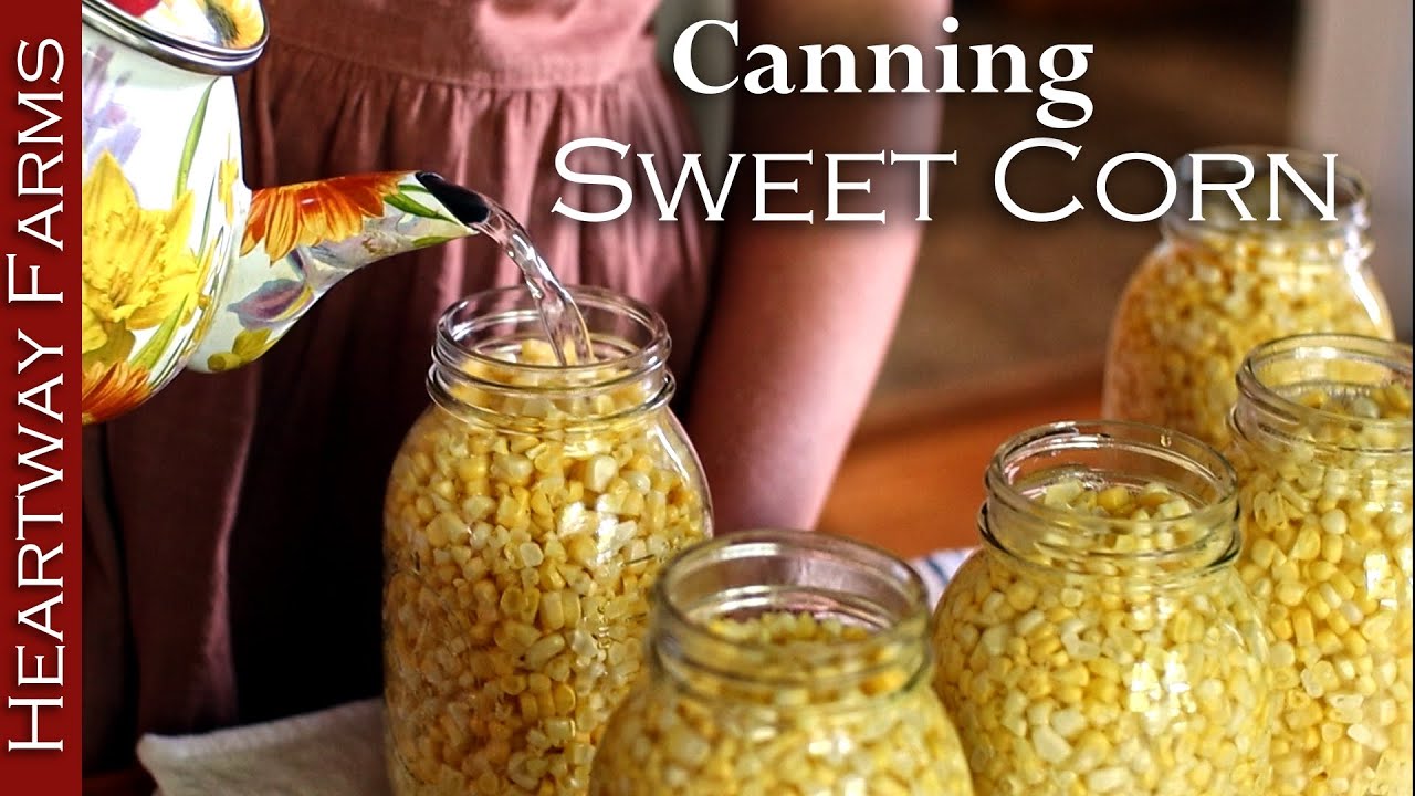 Pressure Canning Sweet Corn for Long Term Storage | Heartway Farms
