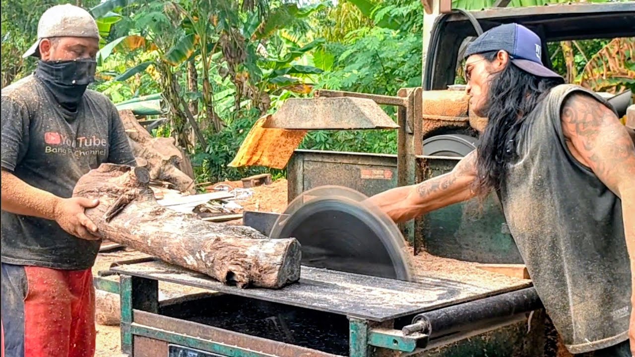Terlalu BERESIKO menggergaji kayu pendek !!