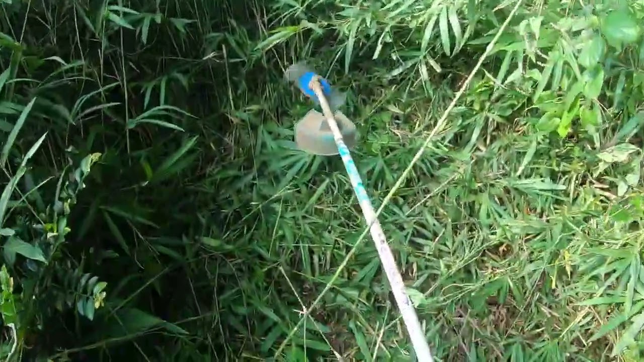 草刈りマサル　ツムラ　2枚刃　イノシシ山の笹刈り