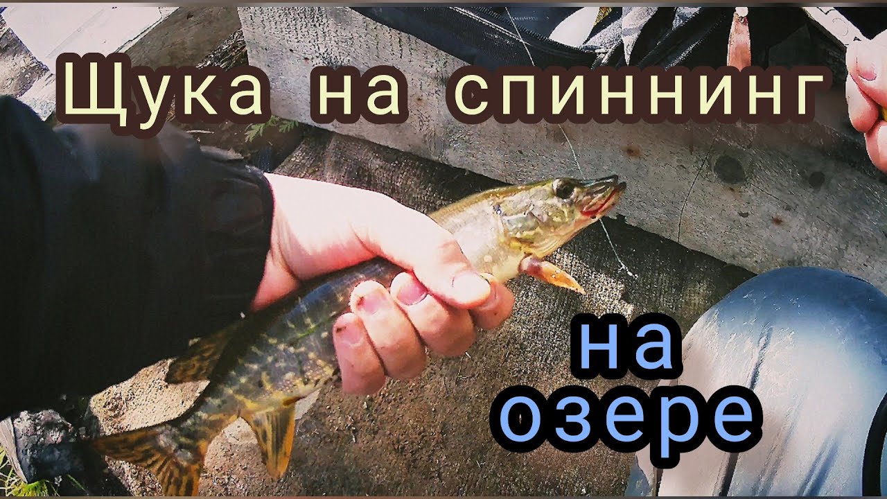 Щука на спиннинг на озере за Талнахом