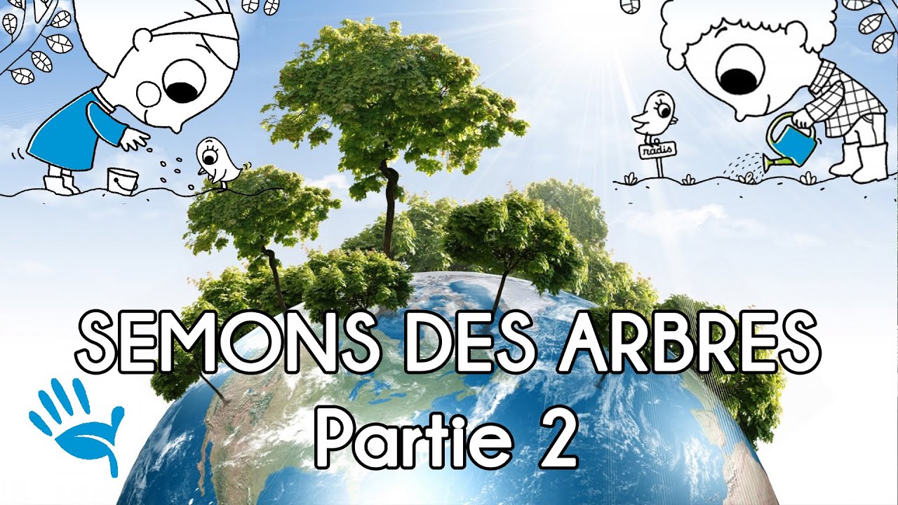 Des graines, des enfants, des arbres
