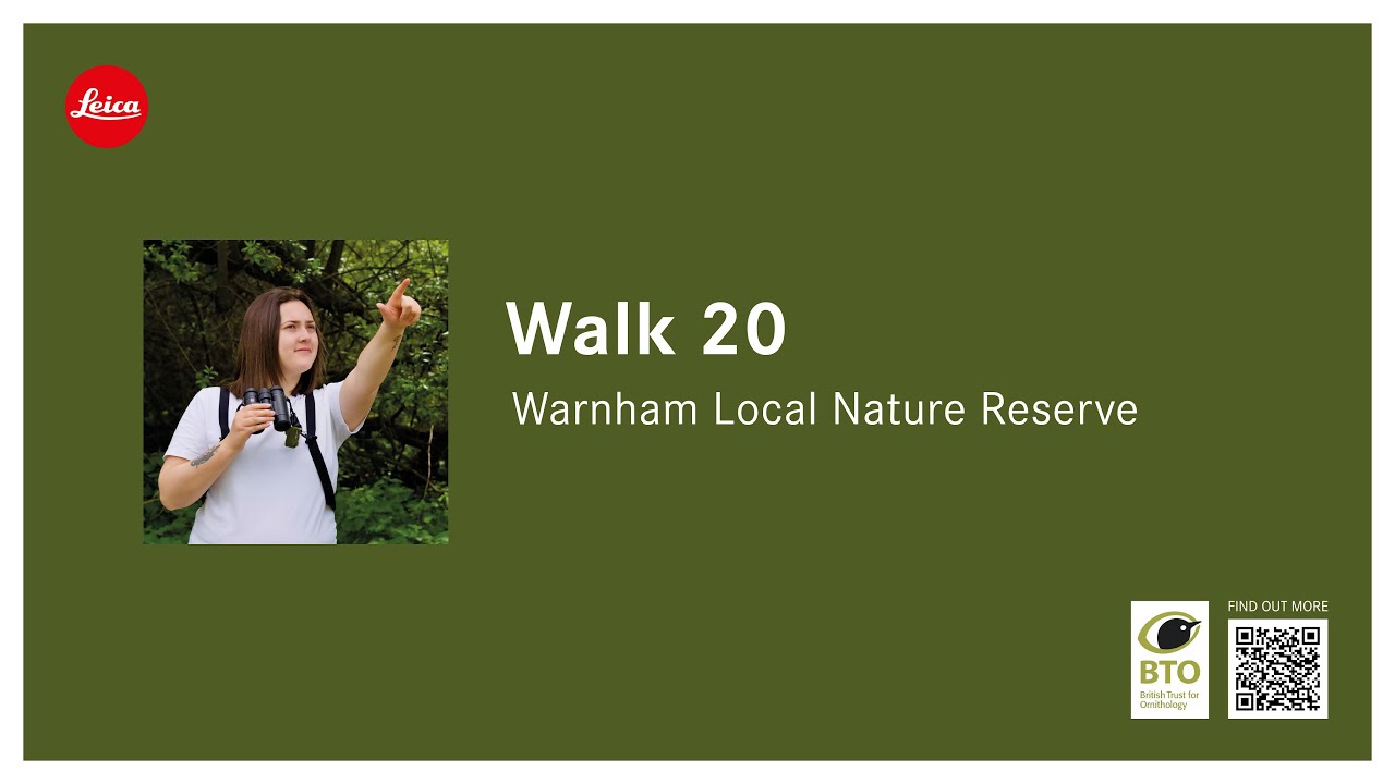 Back to my local patch, Warnham LNR - 20th '21 Wildlife Walks!'