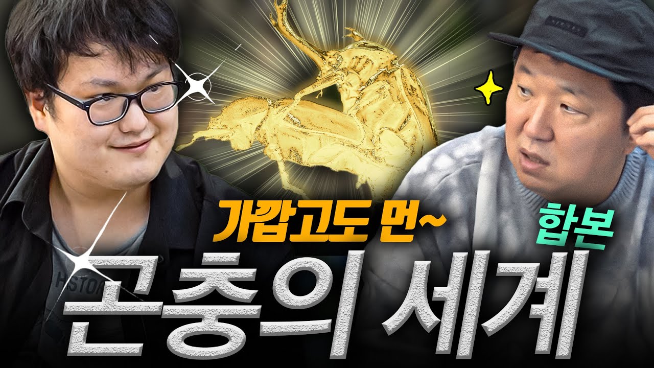 4억 8천만 년 전부터 시작된 세계관! 곤충!!🦟🐜 '피지컬 100', '부부의 세계', '돈의 맛' 다 들어있는 꿀잼 이야기!(통합본)