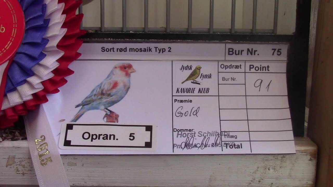 75. Sort r&oslash;d mosaik T2 - Erling Pedersen - 91 points - Guld