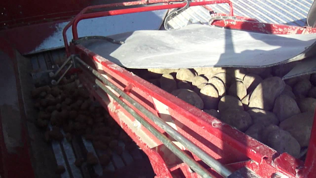 Grimme Varitron
