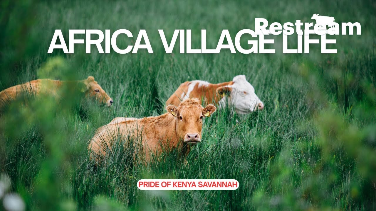 THE BEAUTY OF AFRICAN SAVANNAH VILLAGE LIFE
