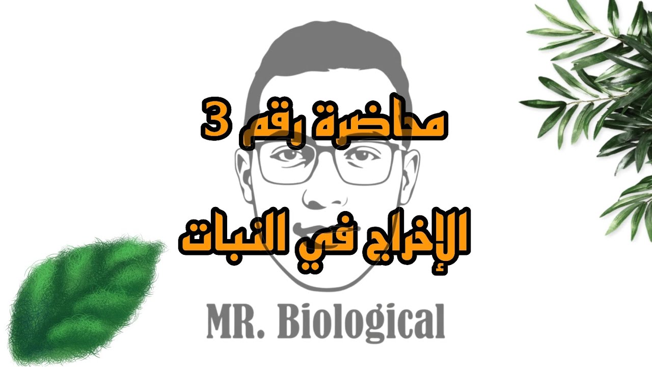 محاضرة رقم 3 الدرس الثالث في الفصل الرابع | الأحياء للصف الثاني الثانوي الأزهري | الإخراج في النبات