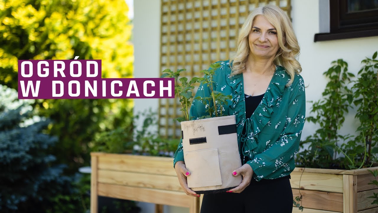 Ogród w donicach - dwa typy - warzywny i rośliny do cienia