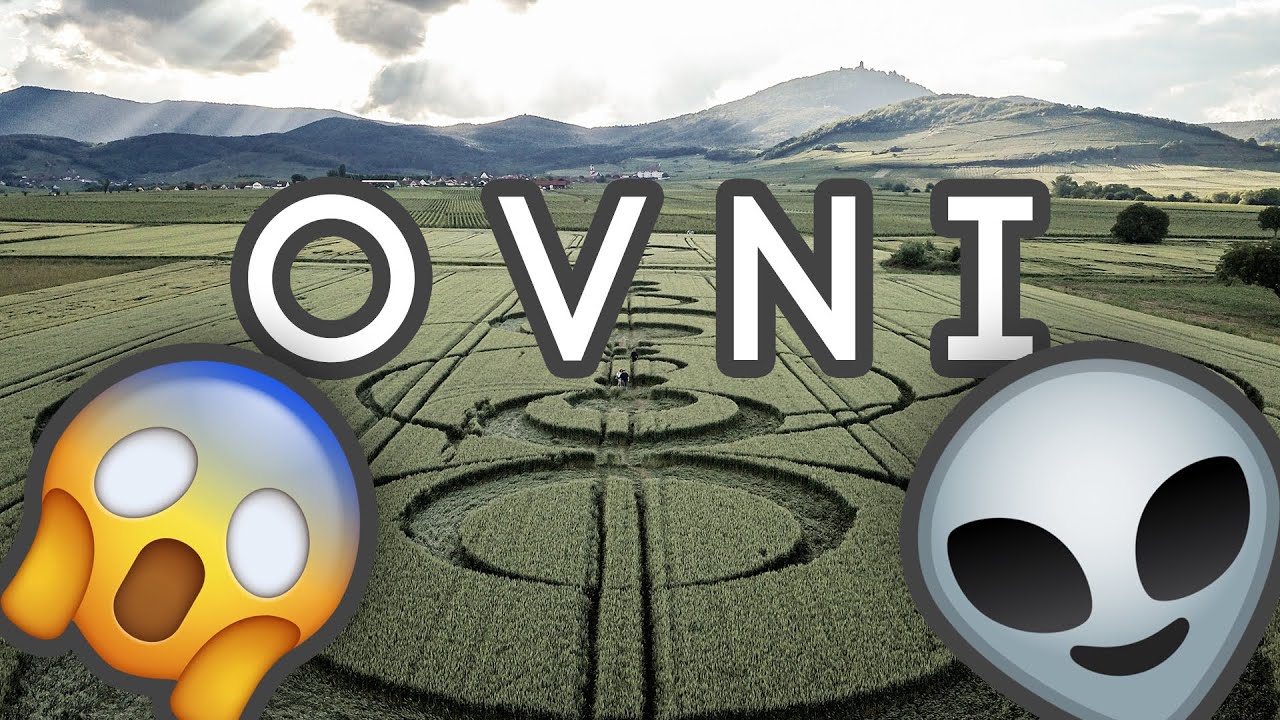 Crop Circles - (Saint-Hippolyte, France, 2019)