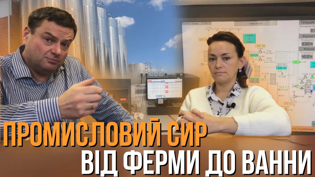 ЯК РОБЛЯТЬ СИР. СЕКРЕТИ і СТАНДАРТИ. ТЕХНОЛОГ Розповідає.  Ч1 від ФЕРМИ до ВАННИ  плюс фото-відео