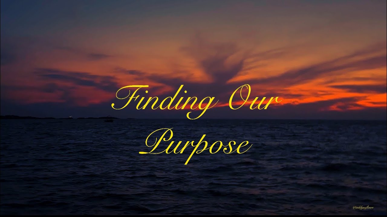 A short film on finding our purpose