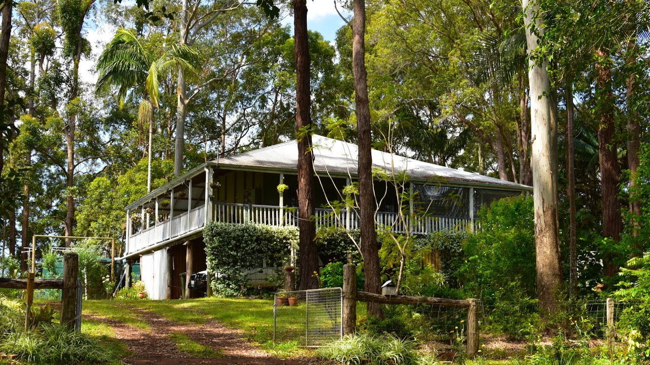 Exploring Tamborine Mountain – Australia’s Rainforest Escape