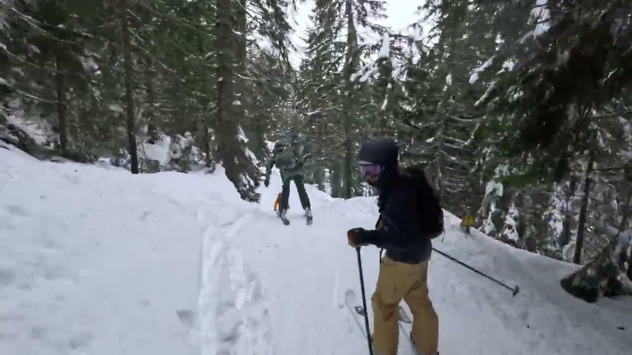 Passage dans les bois avec les copains 