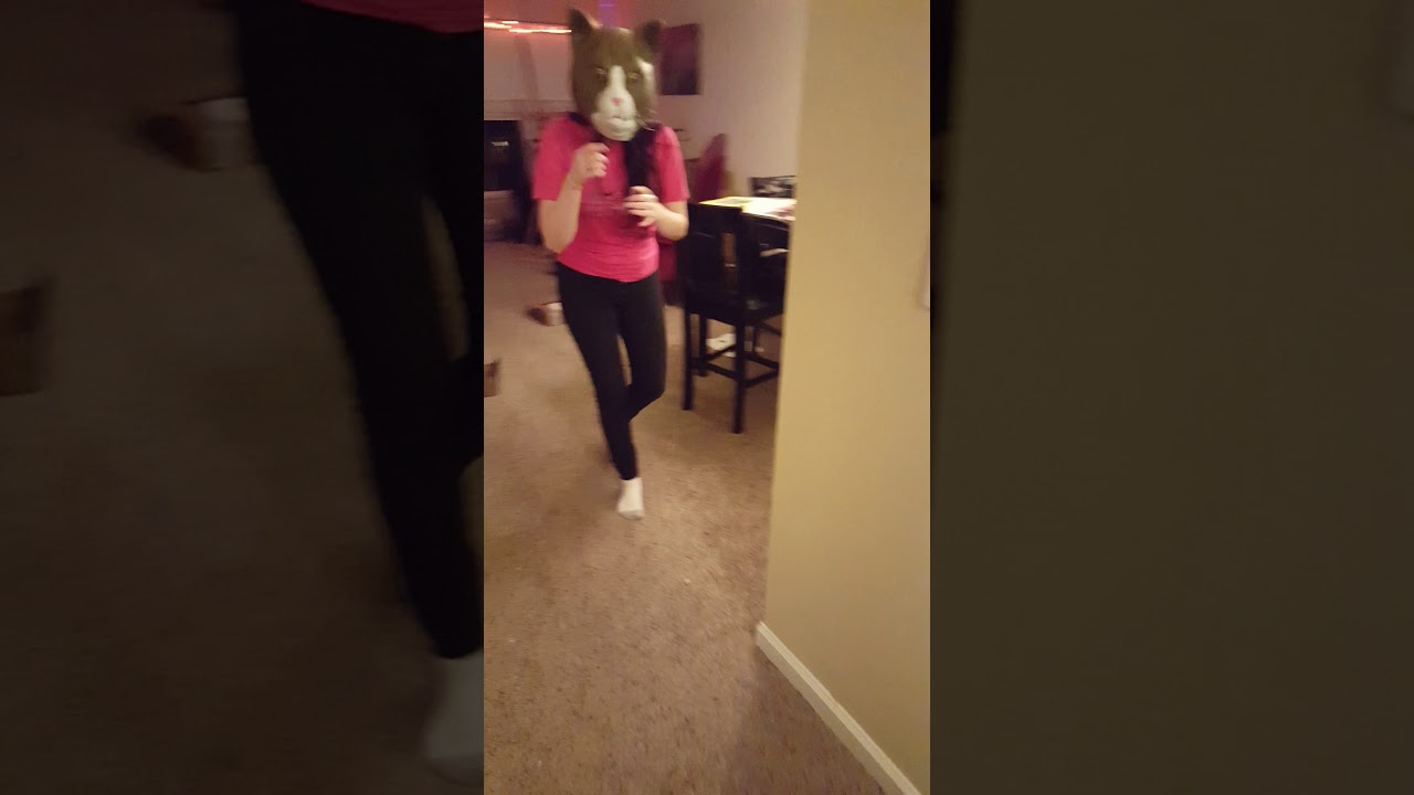 Cat mask scares kittens