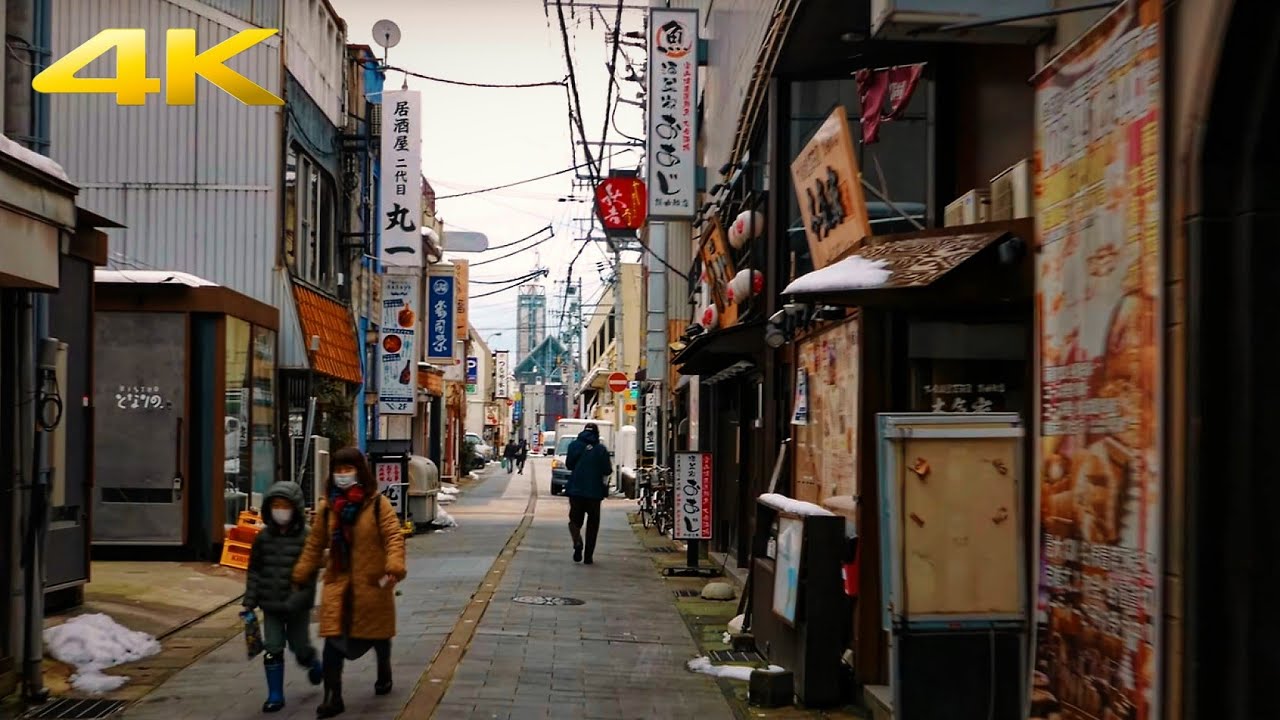 4K  Japan Walk at Day time - TOYAMA Sogawa Street