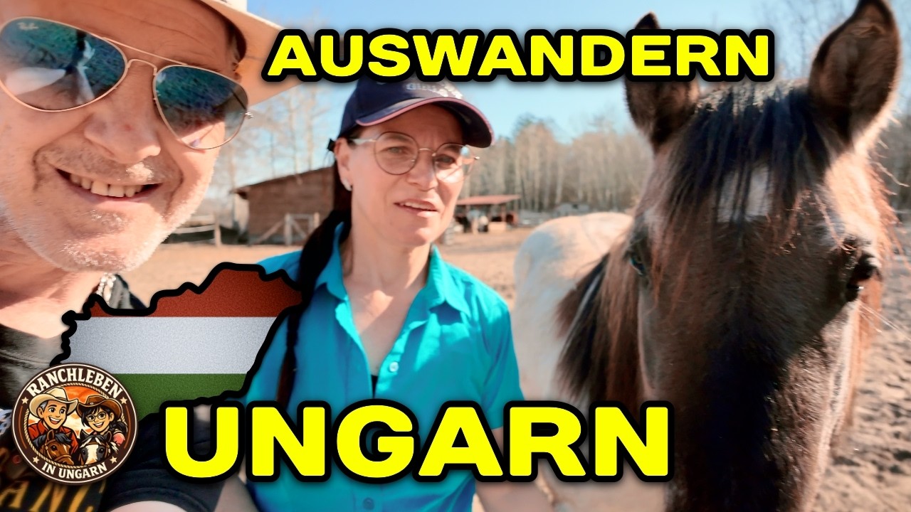 Auswandern nach Ungarn 🇭🇺 – So haben wir es gemacht (inkl. Pferde)