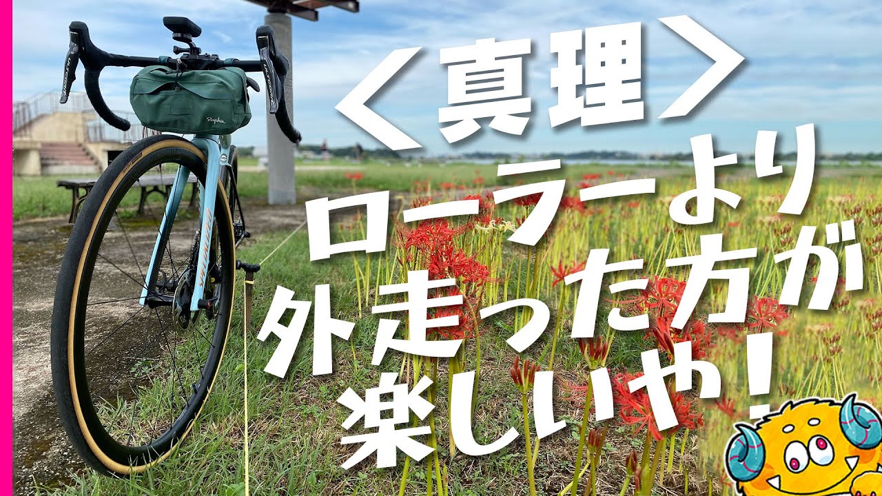 【脱！貧脚】毎日手賀沼一周してたら強くなる説【ロードバイク】