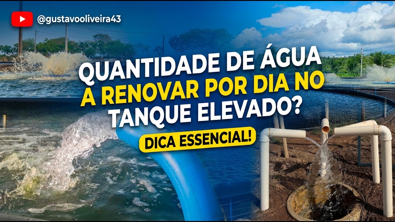 Qual a quantidade de água deve ser renovada por dia no tanque elevado?
