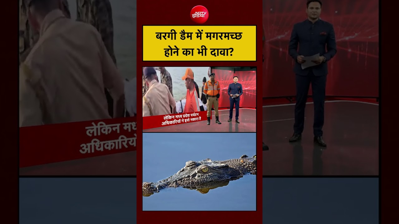 Jabalpur Cruise Boat Accident News : Bargi Dam में मगरमच्छ होने का भी दावा ? #viralvideo #ndtvindia