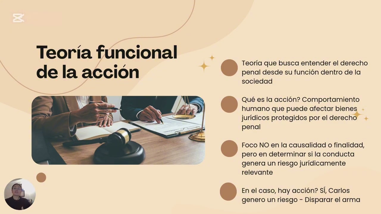 Actividad derecho penal.
