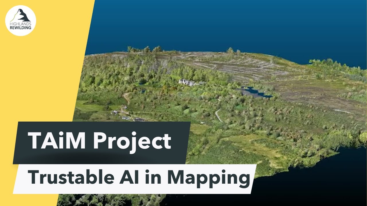 New geospatial AI standards for the Environmental Sector: Trustable AI in Mapping (TAiM)