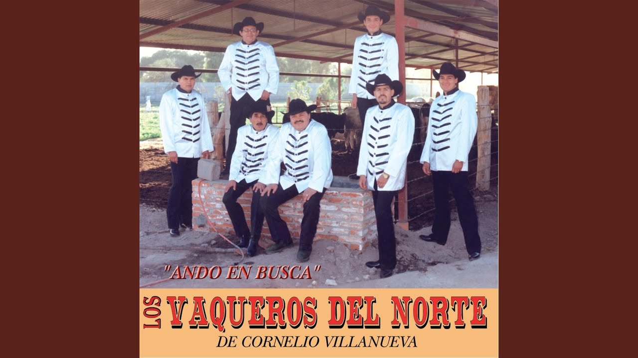 Ando en Busca