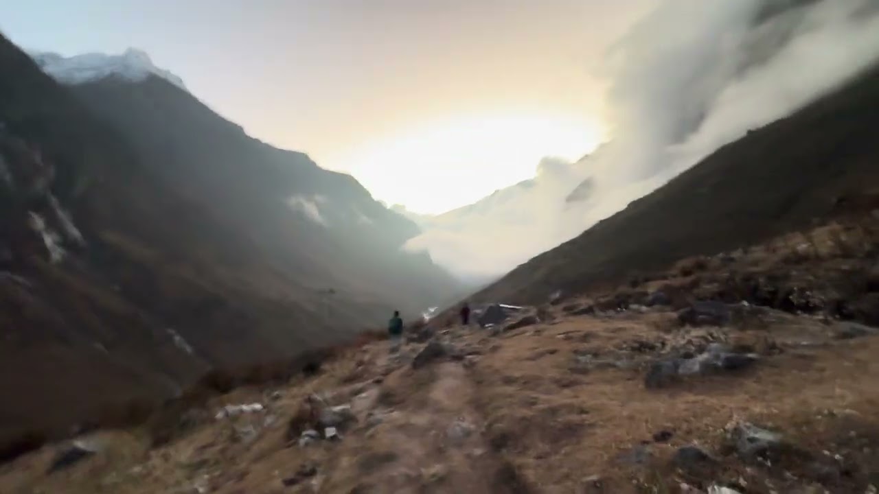 Quiet before a tragedy Langtang villager runs to take a calf from a cow that then attacked tourists 