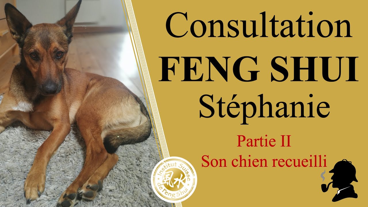 Le Feng Shui pour les animaux