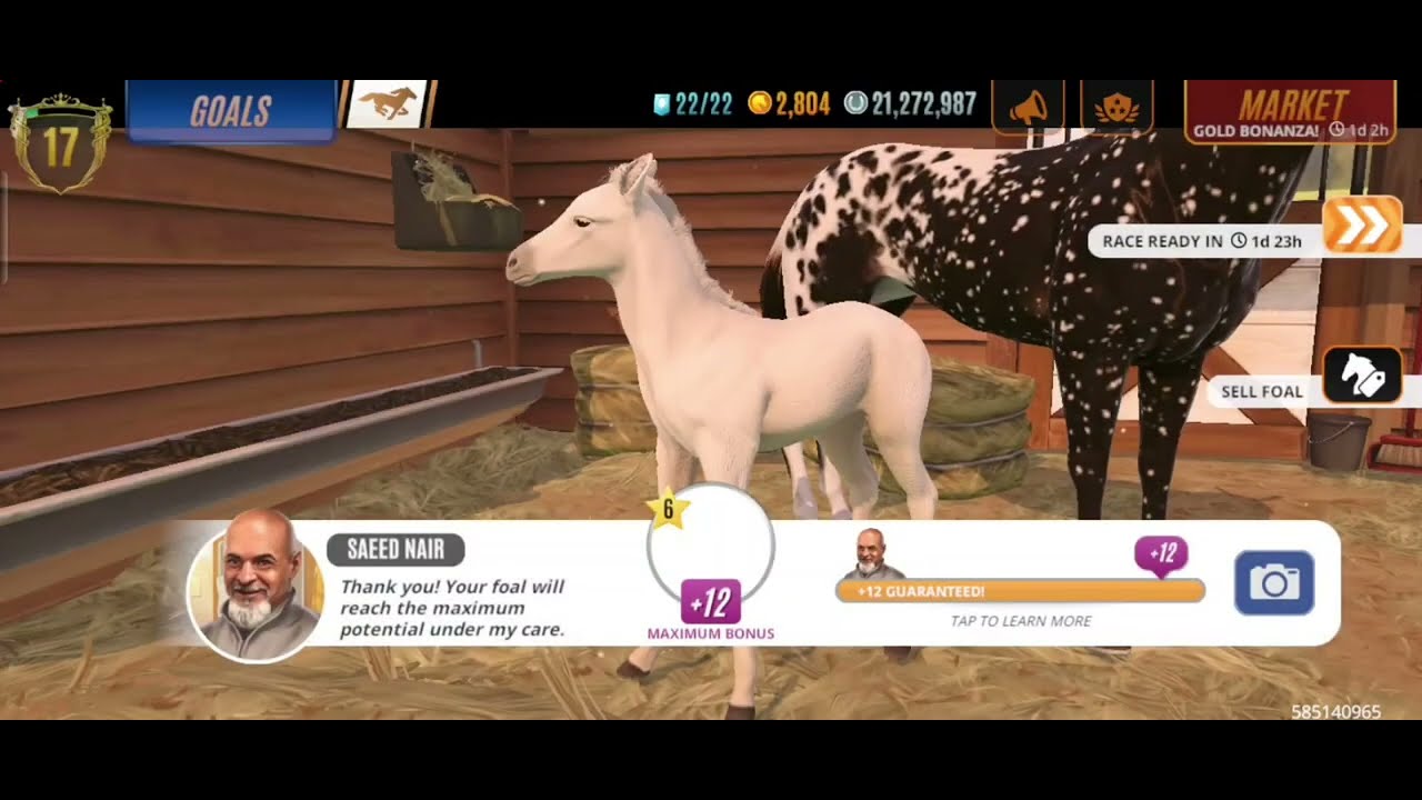 [Ultimate Breeding Guide] Breeding-Max Stats,Beatiful Coats,Track Surface & Traits Rival Star Mobile