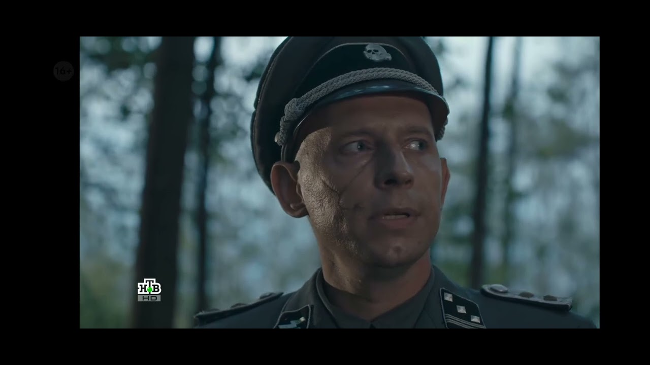 Шоурил 