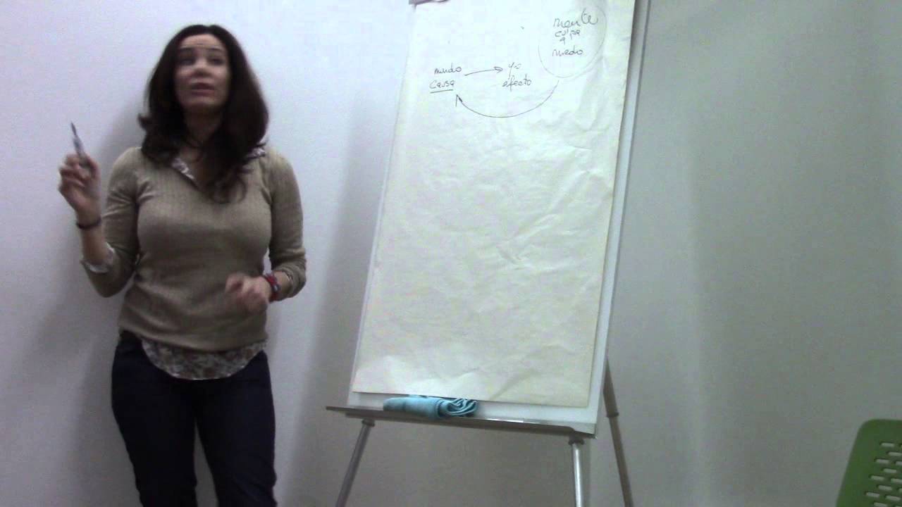 El mundo como efecto. Los pensamientos privados - Susana Ortiz