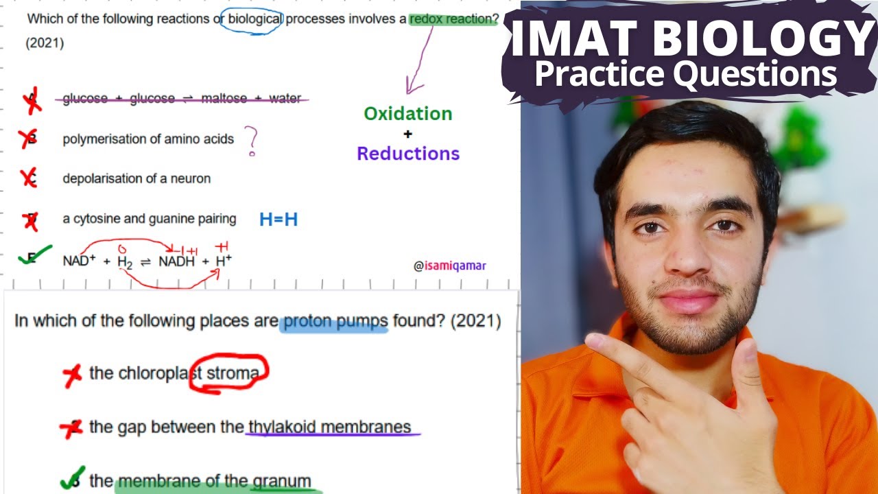 IMAT Biology Practice Questions - IMAT 2025 | IMAT Biology Past Paper Practice Questions