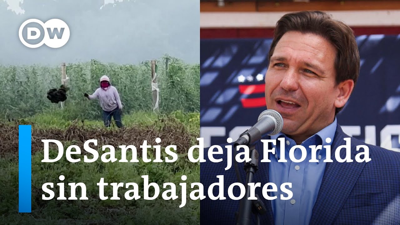 Florida pierde mano de obra por ley migratoria de Ron DeSantis