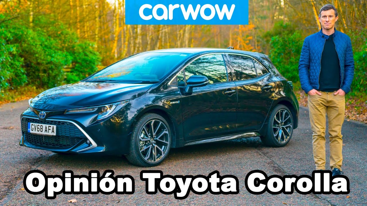 Toyota Corolla 2020 | Valoración en profundidad y opinión | carwow