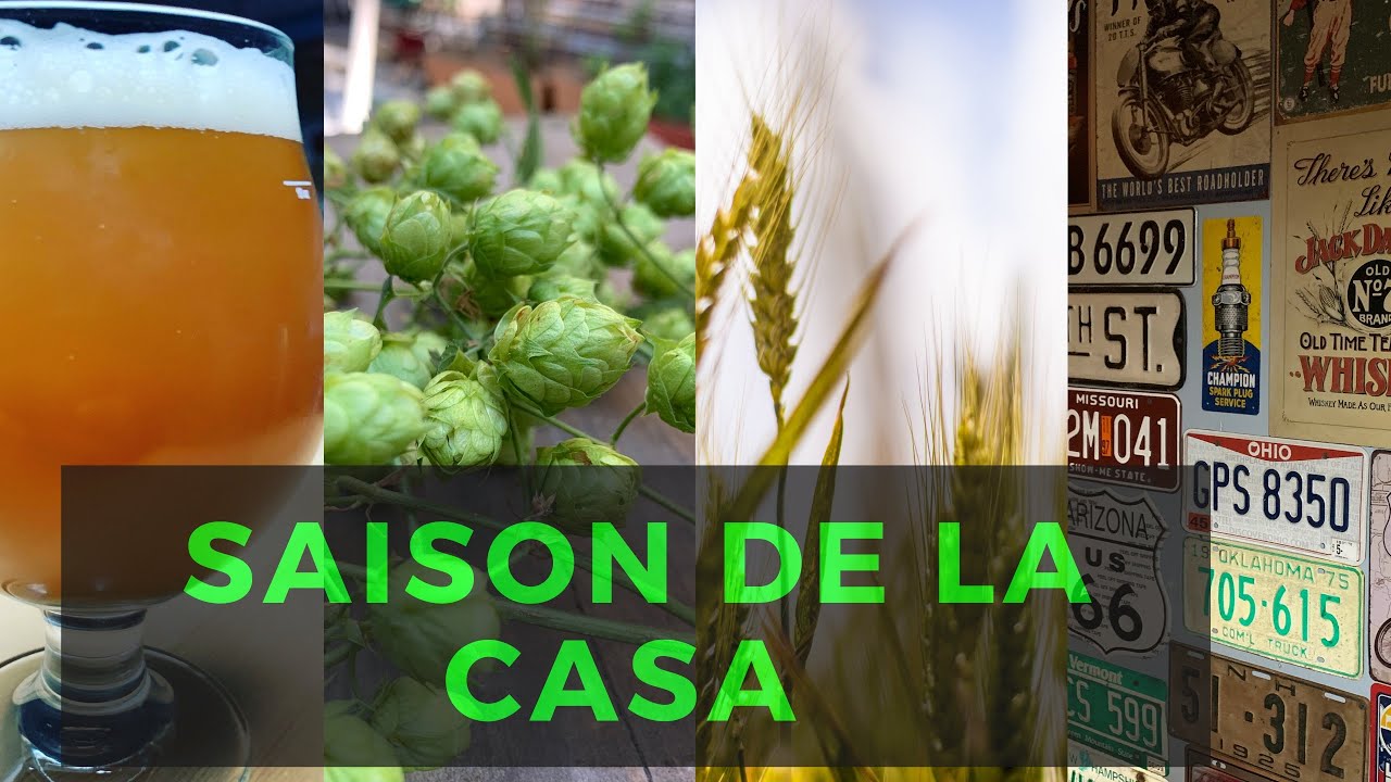 Cerveza artesanal tipo saison paso a paso ( Saison de la casa)