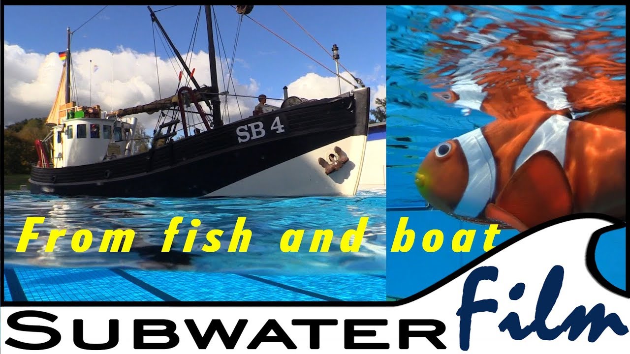 RC FISH | From FISH and SHIPS 😇 - Modellbau LIVE