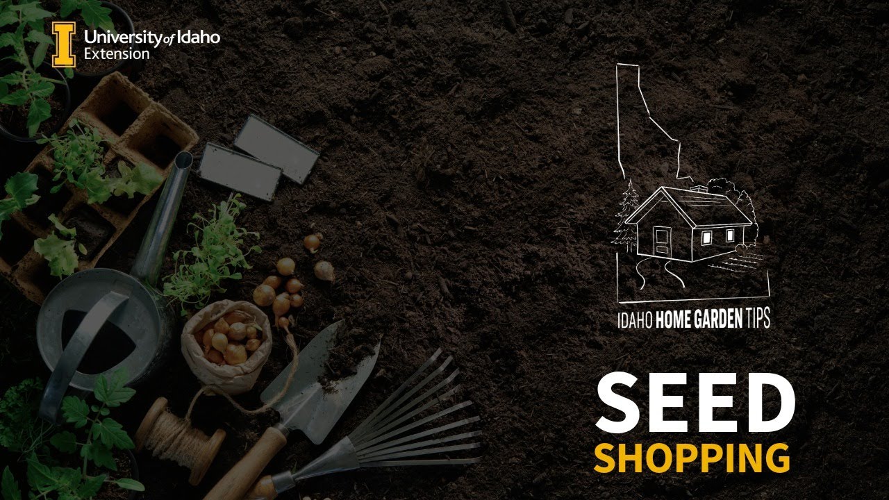Things to consider when shopping for seeds