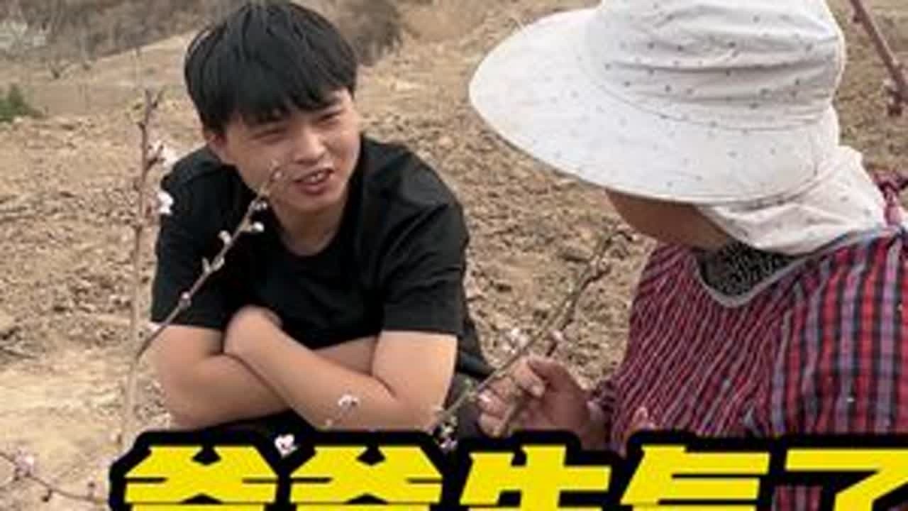我在这儿等着你，等着你来看桃花，我家的桃花真好看！我妈还是文学天才啊哈哈#我的乡村生活 #人间烟火 #记录我的农村生活 #三农 #人间温暖