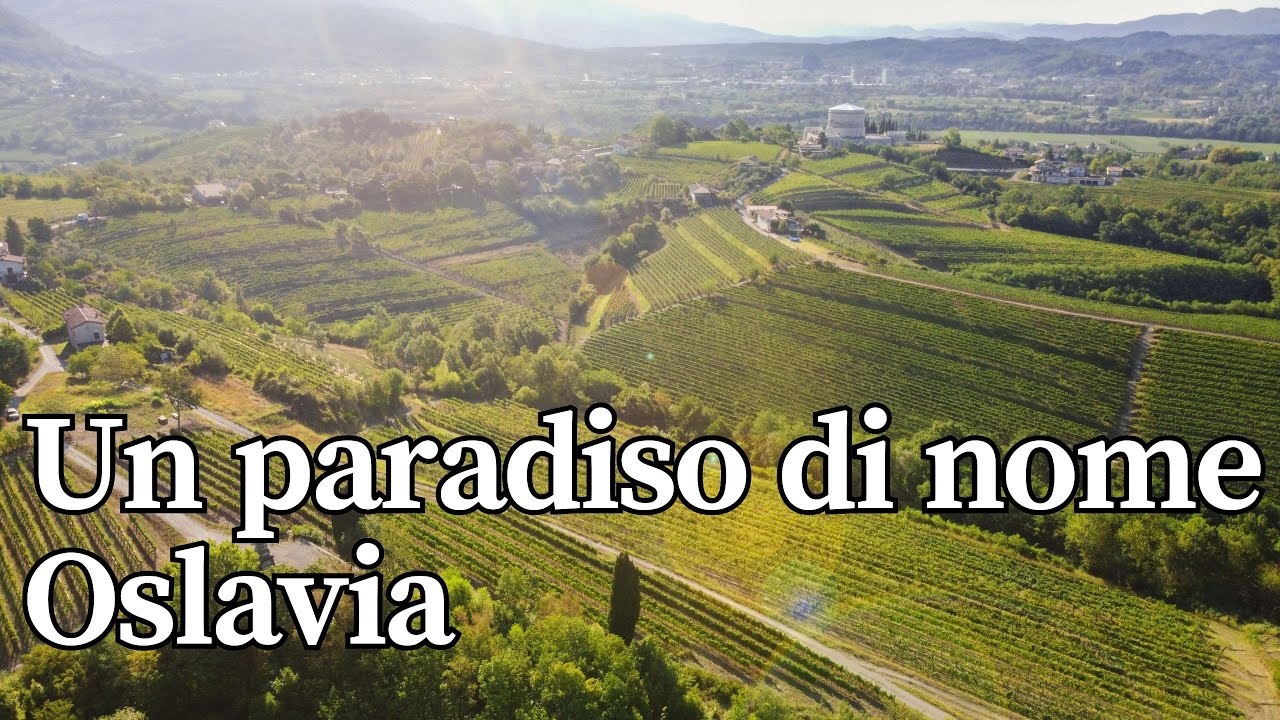 Racconto Oslavia per LineaVerde di Rai1