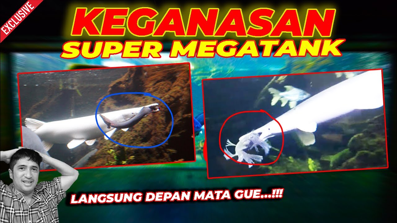 SUPER MEGATANK | UNTUNG MASIH BISA DISELAMATKAN. LANGSUNG EVAKUASI TENGAH MALAM.